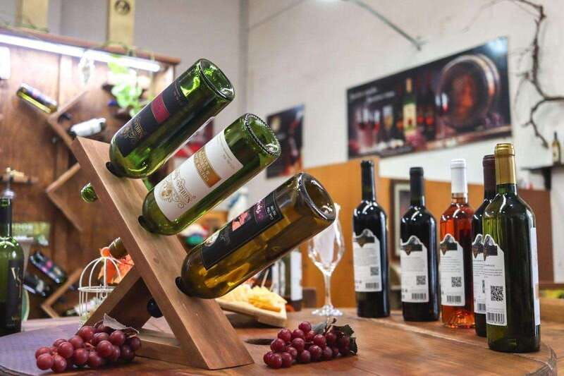 tequisquiapan-utv-adventure-with-winery-and-cheese-tasting