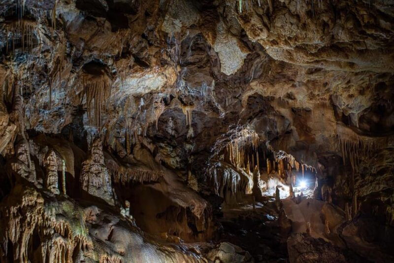 the-bears-cave-1-day-airconditioned-car-tour-from-oradea