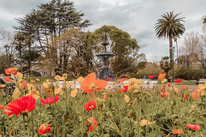 The best of Auckland walking tour - FAQ