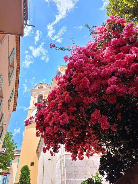 the-coastal-path-hike-from-nice-to-villefranche