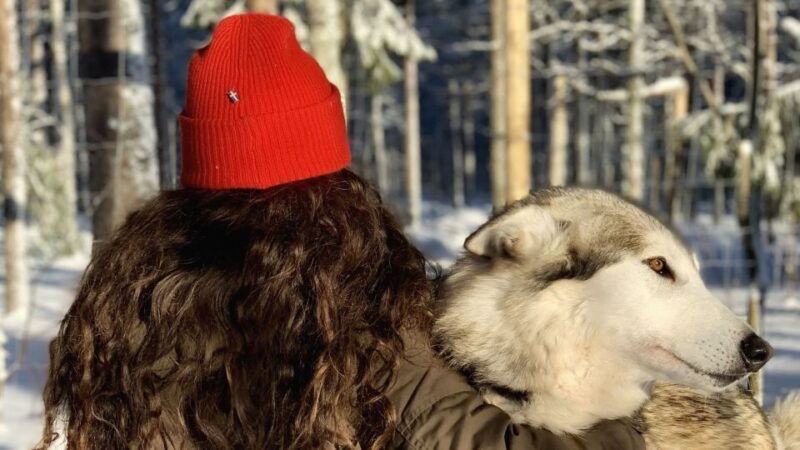 the-cuddly-wolf-private-tour