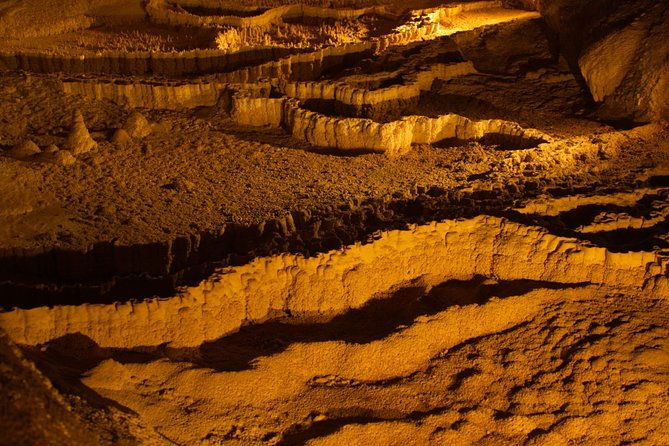 The Explorers' Discovery Small Group Tour - Gold, Wine & Wildlife - Who Will Love This Tour?