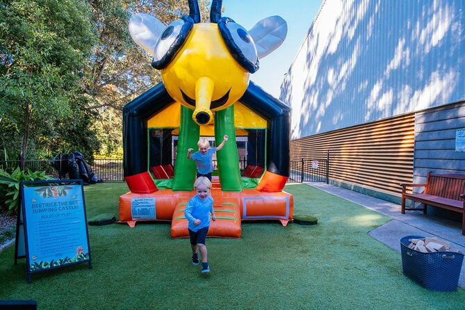 The Ginger Factory - Play All Day Bundle Unlimited Rides - The Experience: What to Expect