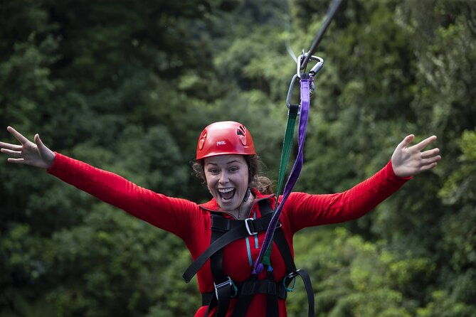 The Original Canopy Zipline Experience Private Tour From Auckland - Who Will Love This Tour?
