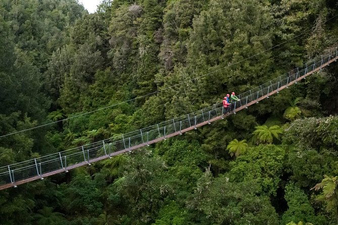 The Ultimate Canopy Zipline Experience Private Tour From Auckland - Who Is This Tour Best Suited For?