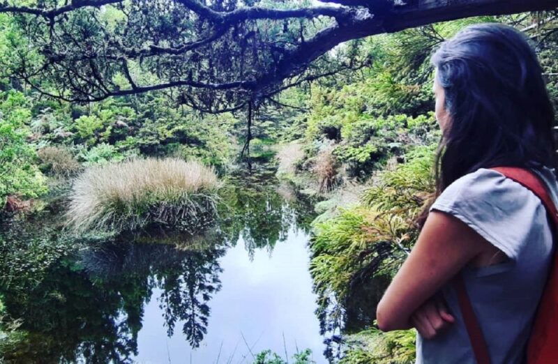 third-island-hiking-trail-black-mysteries