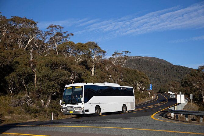 Thredbo or Perisher Bus Trip from Canberra - Transportation and Comfort