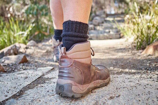 Three Capes & tukana / Tasman Peninsula Hiking Tour - 4 Days - FAQs