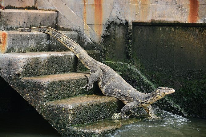 Timeless Thonburi Canal and Food Tour - What’s Included and What’s Not