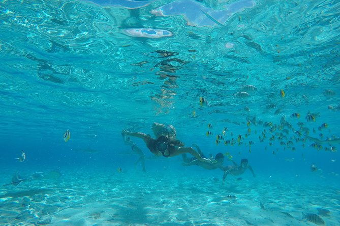 Toa Boat Bora Bora Private Lagoon tour with Lunch on Entertainer Bar Boat - Practical Details and Value