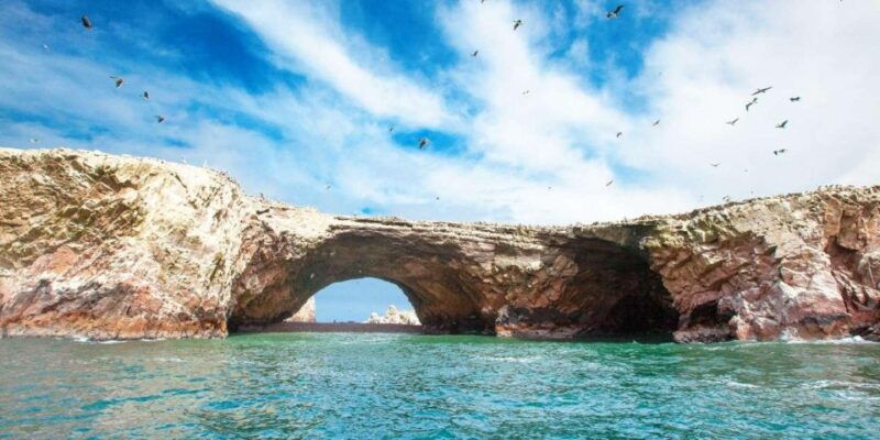 tour-ballestas-islands-and-the-paracas-national-reserve