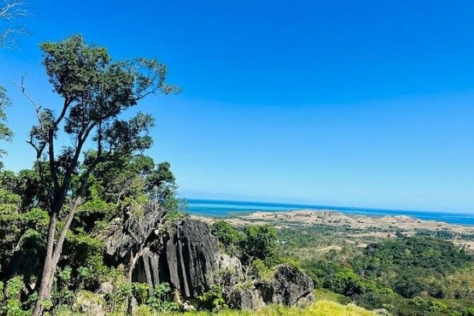 Treetops Zipline Tour with Drop off Transfer to Nadi Airport - The Sum Up