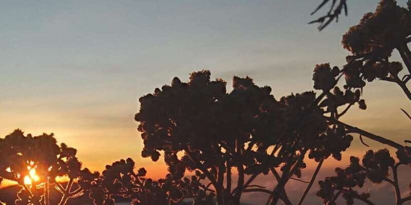 trekking-mount-sangkareang-second-summit-of-rinjani-2d1n