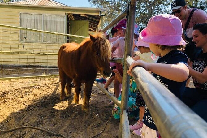 Trevena Glen 2hr Animal Tour - Final Thoughts