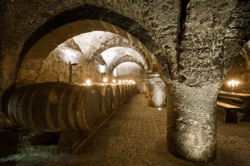 trier-discovery-tour-germanys-oldest-wine-cellar