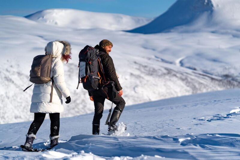 tromso-daytime-fjellheisen-snowshoe-hike-and-cable-car-ride