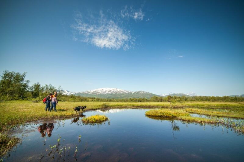 tromso-husky-hike-and-puppy-visit-with-traditional-lunch