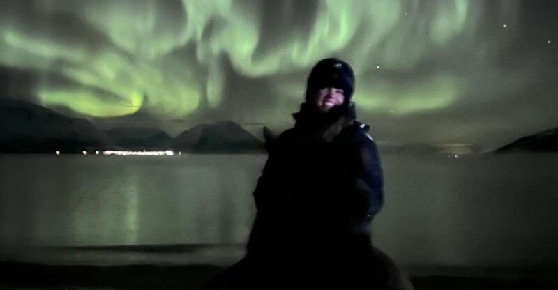 tromso-lyngen-horse-winter-evening-riding-experience