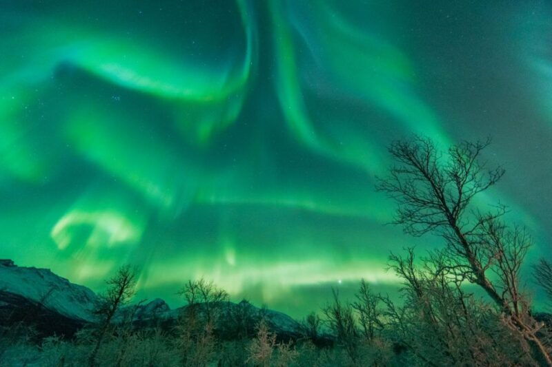 tromso-northern-lights-hunt-with-photos-and-hot-food