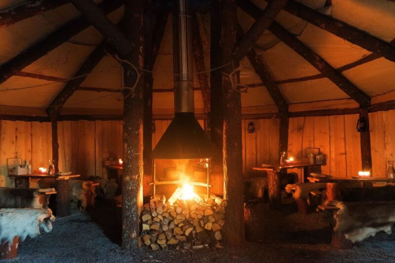 tromso-reindeer-sled-dinner-and-northern-lights-day-trip