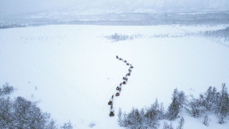 tromso-sami-reindeer-sledding-and-sami-cultural-tour