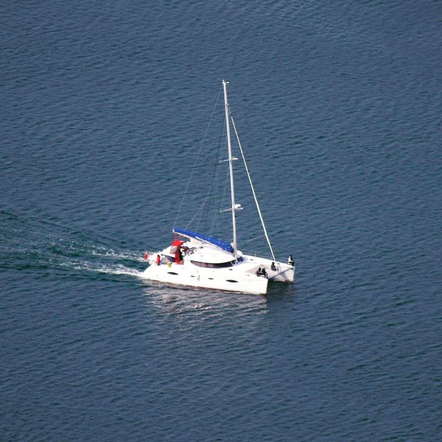 tromso-sightseeing-cruise-by-catamaran-with-snacks-drinks