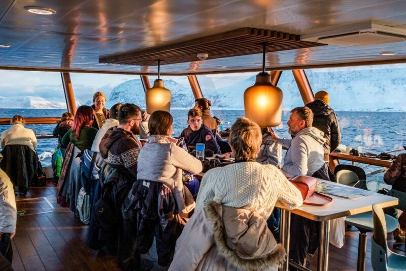 tromso-whale-watching-tour-by-hybrid-electric-catamaran