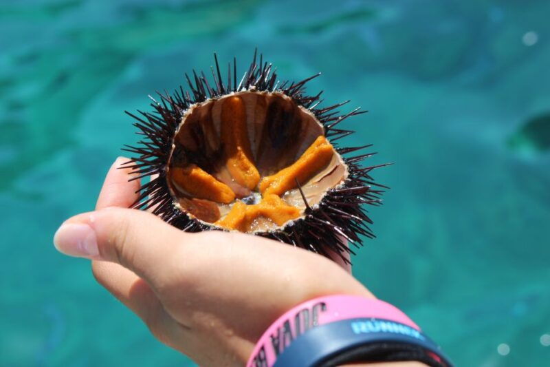 tropea-private-boat-rental-with-skipper-and-snacks