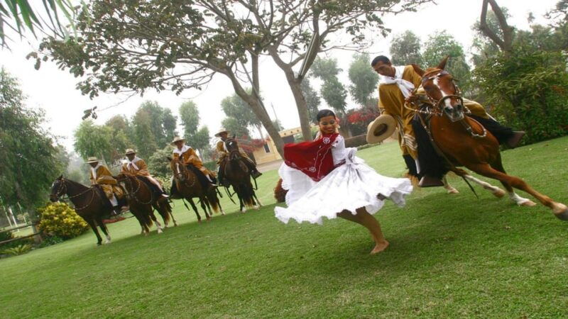 trujillo-show-of-peruvian-paso-horse-marinera-with-lunch