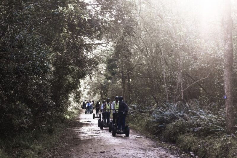 tsitsikamma-national-park-1-or-2-hour-segway-tour