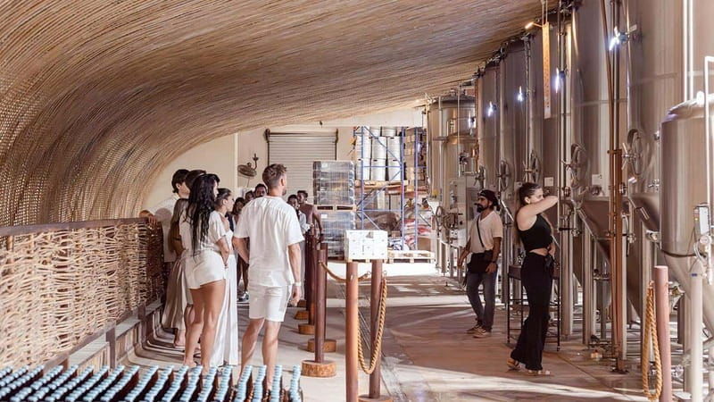 tulum-brewery-tour-beer-flight-tasting-craft-beer