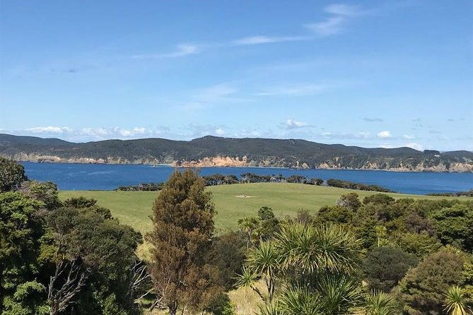 Twharanui- Get away from it all and experience New Zealand at its best - private tour - Who Should Consider This Tour?