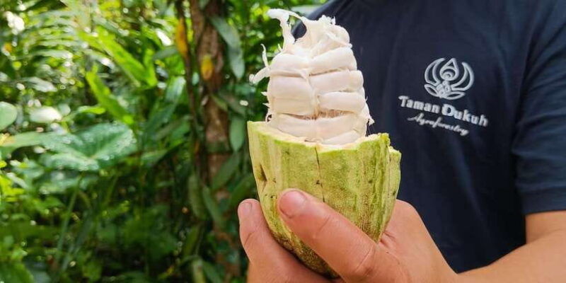 ubud-balinese-cooking-class-at-an-organic-farm