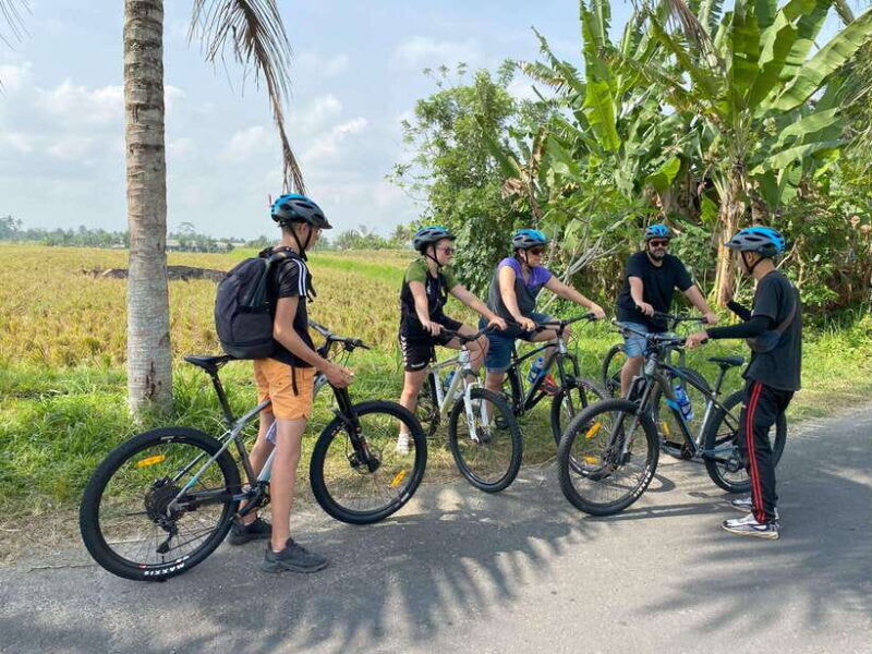 ubud-bliss-downhill-cycling-from-kintamani