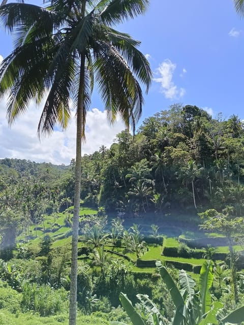 ubud-combination-full-day-ubud-tour-with-private-guide