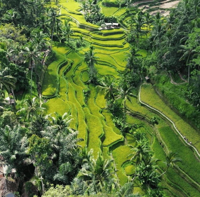 ubud-customised-private-day-trip-with-personal-driver
