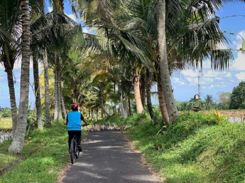 ubud-downhill-cycling-with-volcano-rice-terraces-and-meal