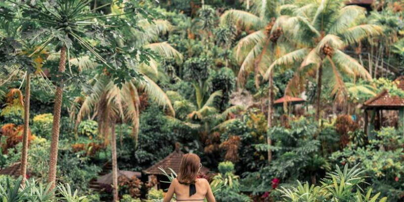 ubud-floating-breakfast-jungle-swing-spa-romantic-tour