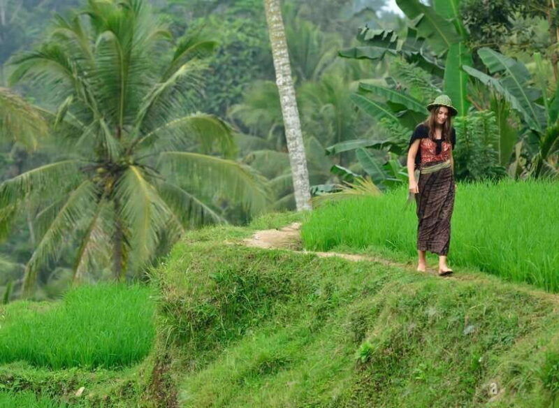 ubud-private-half-day-tour-with-rice-terrace-waterfall