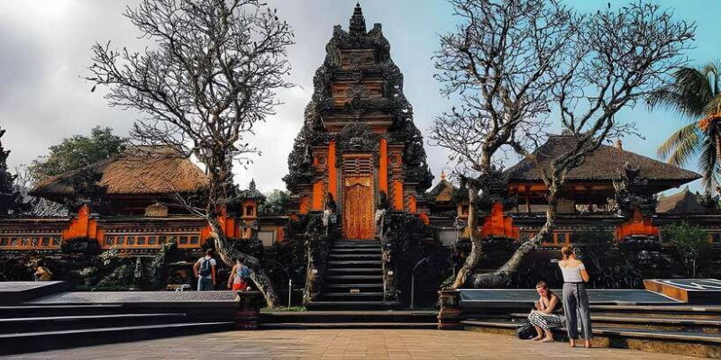 ubud-vw-safari-bali-tour