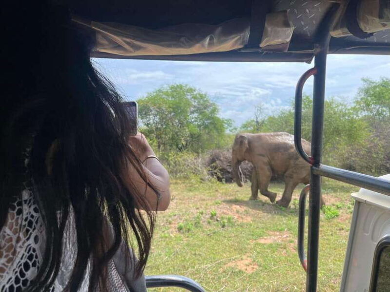 udawalawe-national-park-wildlife-safari-from-hambantota-port