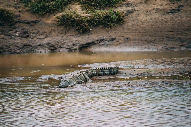 Udawalawe Safari DayTrip frm Bentota/Kalutara/Ahungalla/Hikkaduwa - Authentic Encounters and Personal Highlights