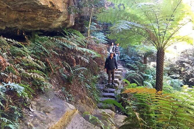 Ultimate Blue Mountains Private Tour with Scenic World and Wildlife Park - Who Would Love This Tour?