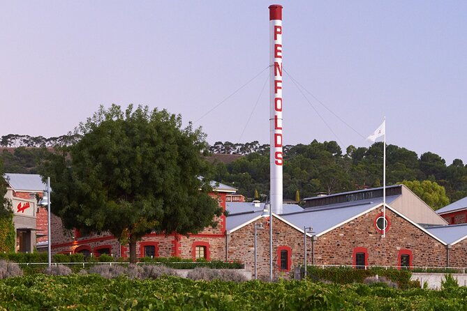 Ultimate Penfolds Magill Estate Experience - Authentic Reviews and Hidden Gems