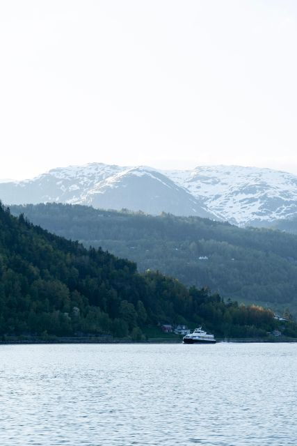 ulvik-adventure-exploring-hardangerfjords-osafjord-by-rib