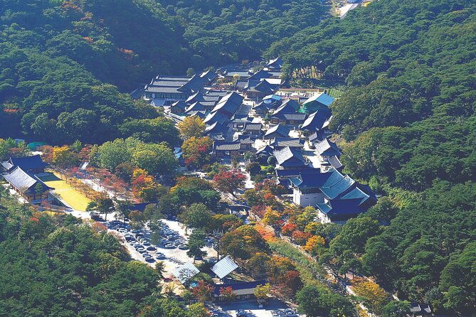 UNESCO Tongdosa Temple + Gourmet Eonyang Style Bulgogi Lunch - Who Is This Tour Best For?