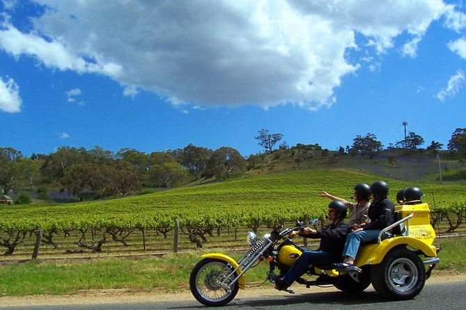 Unique Trike Barossa Valley Half Day Private Tour For 2 - The Value and Why It’s Worth Considering