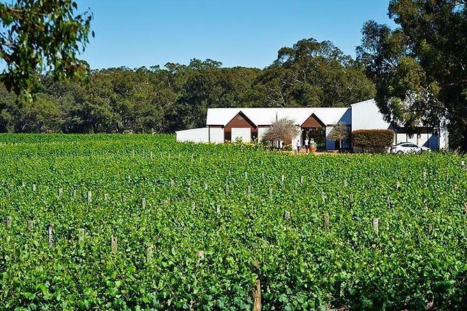 Upper Reach Winery: Swan Valley Winery and Vineyard Tour - Practical Details & Considerations