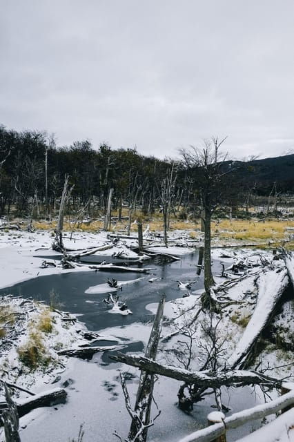 ushuaia-tierra-del-fuego-national-park-optional-train