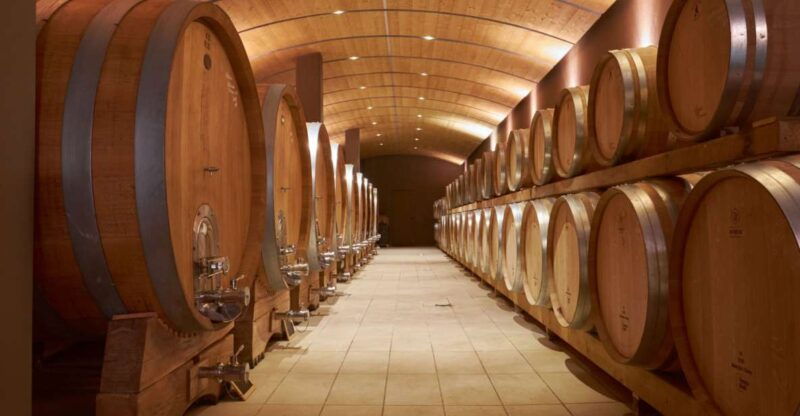 valpolicella-amarone-experience-with-cantina-visit